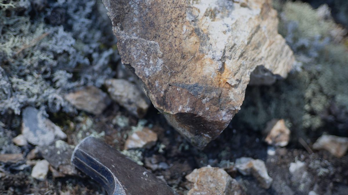 Mineral Exploration Company (Gold)